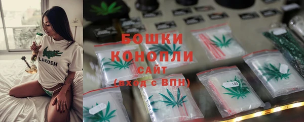 прущий лед Костерёво