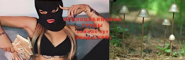 прущий лед Костерёво